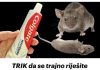 Trik koji trajno rjesava pacove