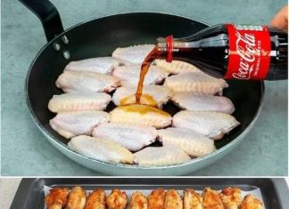 Coca cola pileca krilca