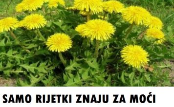 SAMO RIJETKI ZNAJU ZA MOĆ MASLAČKA
