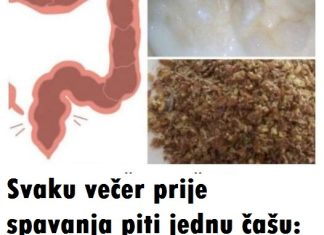 OČISTITE DEBELO CRIJEVO I SPALITE MASNOĆU