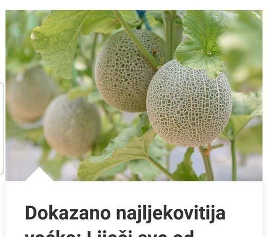 DOKAZANO NAJLJEKOVITIJA VOĆKA: Liječi sve od dijabetesa do kardiovaskularnh bolesti