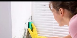 Sta mislite da li sirce moze ukloniti buđ iz ćoškova