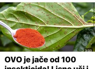 Ovo je jace od 100 insekticida!!