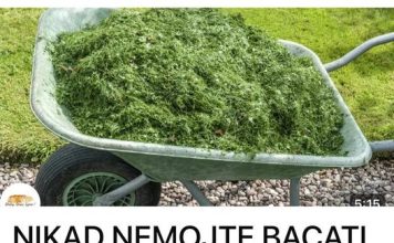 NIKAD NEMOJTE BACATI POKOŠENU TRAVU, SAMO URADITE OVO, Bolje od gnojiva
