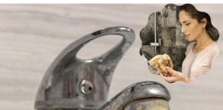 Trik za ciscenje kamenca