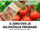 U junu ovo je najvaznija prehrana za paradajz