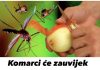 KOMARCI ĆE ZAUVIJEK NESTATI U JEDNOJ MINUTI