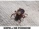 Krpelji ne podnose miris ove dvije biljke!!