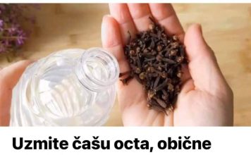 UZMITE ČAŠU OCTA, OBIČNE KLINČIĆE I SPREMITE OVAJ KUĆNI TRIK