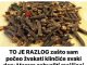 TO JE RAZLOG ZAŠTO SA POČEO ŽVAKATI KLINČIĆE SVAKI DAN