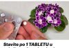 Ubacite samo jednu tableticu u saksiju svog cvijeta i bice vam zahvalan!!