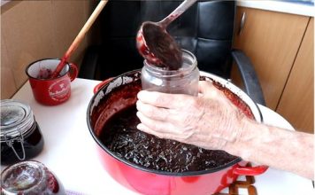 KAKO SPREMITI DŽEM OD ŠLJIVA U RERNI