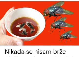 Nikad se brze nisam rijesio muha!!