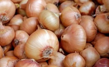 Moze izazvati trovanje ako ovo ne primijetite na luku