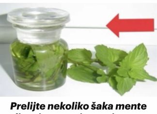 PRELIJTE NEKOLIKO ŠAKA MENTE ULJEM I ZAPAMTITE OVAJ RECEPT ZA CIJELI ŽIVOT