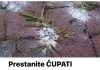 Prestanite cupati korov rukama,napravite prirodno sredstvo!!