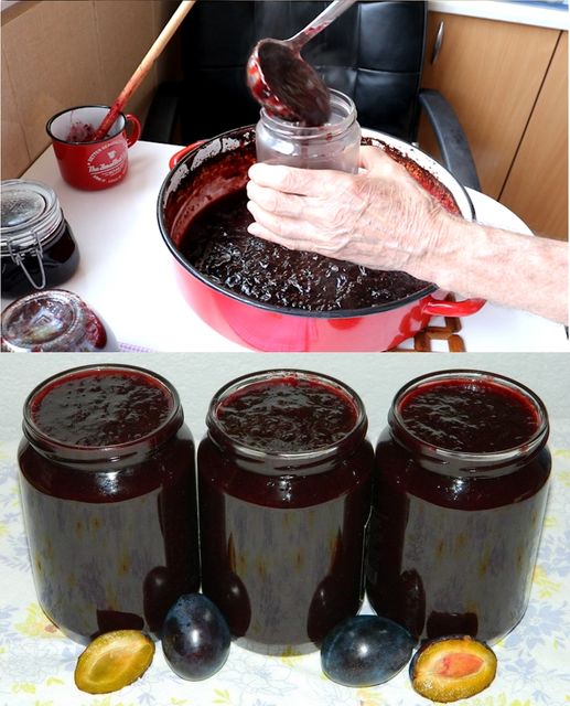 522632769_1329795005373879_220361123231339989_n