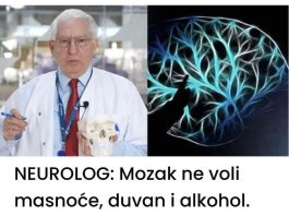 NEUROLOG UPOZORAVA MOZAK NE VOLI MASNOĆU, ALKOHOL IDUHAN