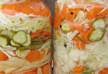 MIJEŠANA SALATA ZA ZIMU I PRELJEV ZA SVE VRSTE SALATA