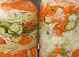 MIJEŠANA SALATA ZA ZIMU I PRELJEV ZA SVE VRSTE SALATA