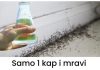 Samo kap prirodnog sredstva i otjerat cete mrave