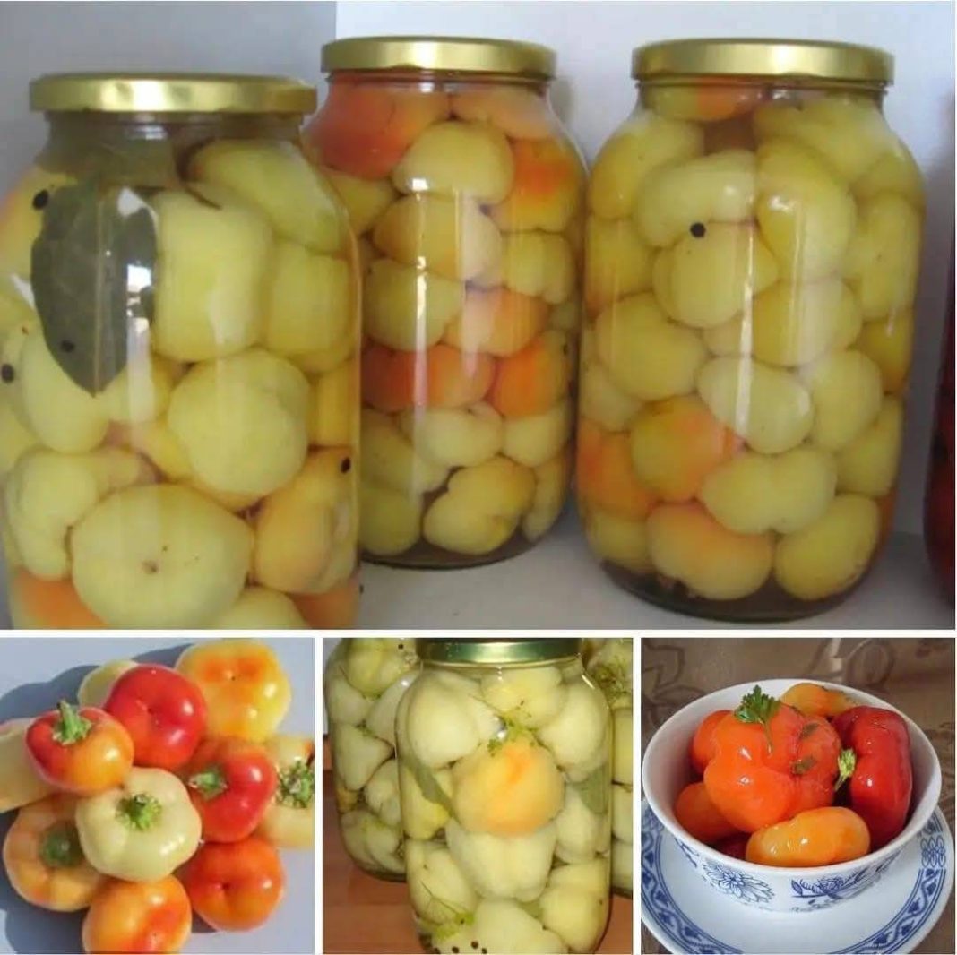 529637946_1342712094082170_4492321968181197026_n