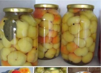 Familijarni recept za barene paprike!!