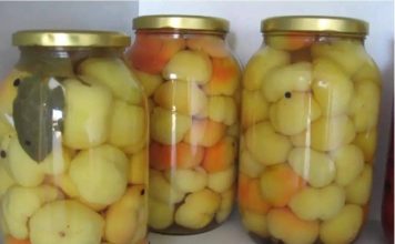 Familijarni recept za barene paprike!!