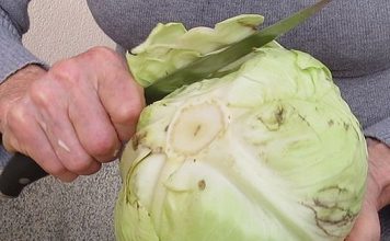 U ŠVICARSKOM BOLNICAMA JE KORISTE KAO LIJEK