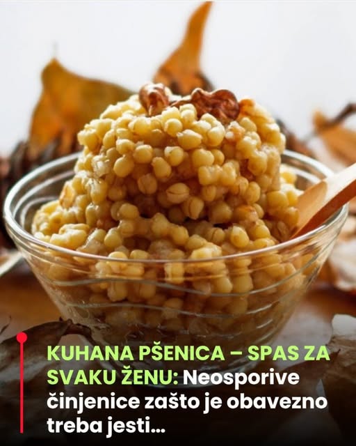 627132940_1492185739134804_5447324991261656238_n