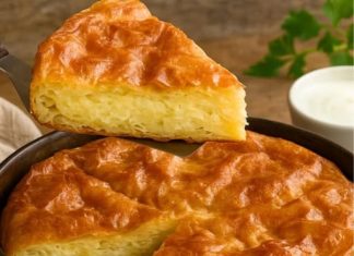 DIVNA DOMACA GIBANICA