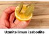 UZMITE LIMUN I ZABODITE LIST LOVORA