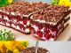Brza torta od visanja i cokolade!!