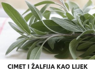 Cimet i zalfija kao lijek!!