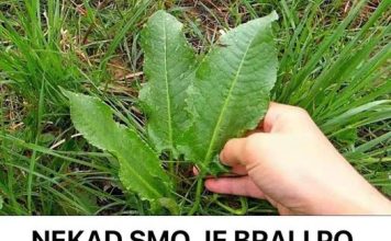SKUPA I RIJETKA NAMIRNICA