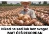 Nikad ne sadite luk bez ovog!!