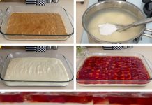 LJETNA JAGODA PLAZMA TORTA