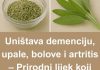 Prirodni lijek koji ce zamijeniti apoteku i mnogo ce vam pomoci