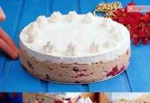 Plazma torta sa vocem