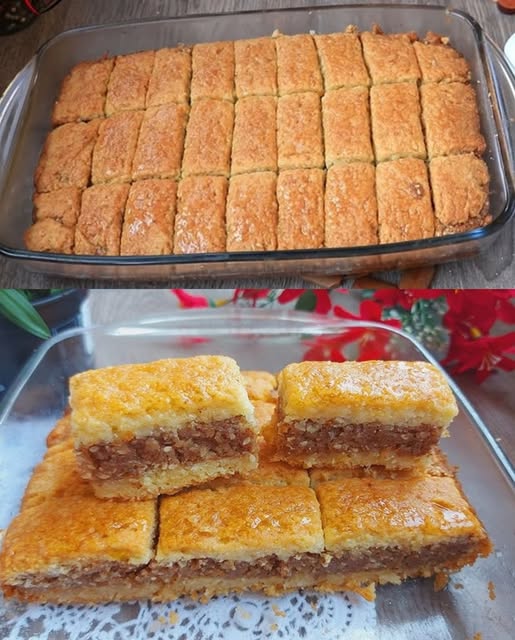 495927337_729272249628821_5902148197159083489_n