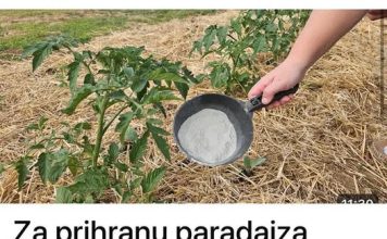 ZA PRIHRANU PARADAJZA UVIJEK KORISTIM OVU PRIHRANU