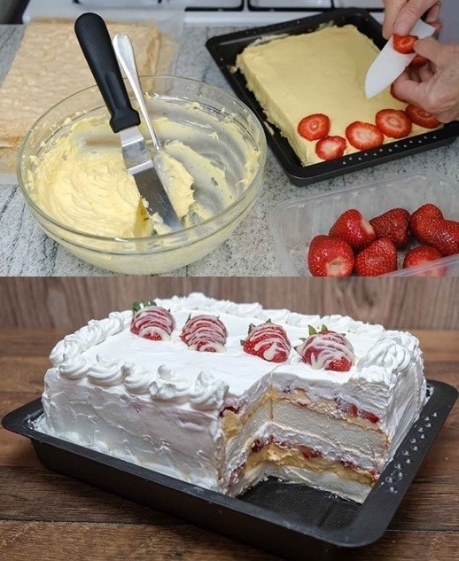 501790341_740565405166172_3897598789429381557_n