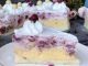 Sladoled torta sa vocem