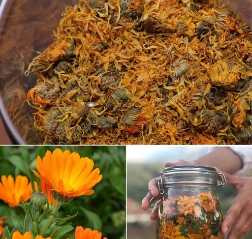 Čaj od nevena posebno koristan za žene!