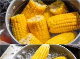 Dodajte jedan sastojak i kukuruz će biti kuhan za 20 minuta!