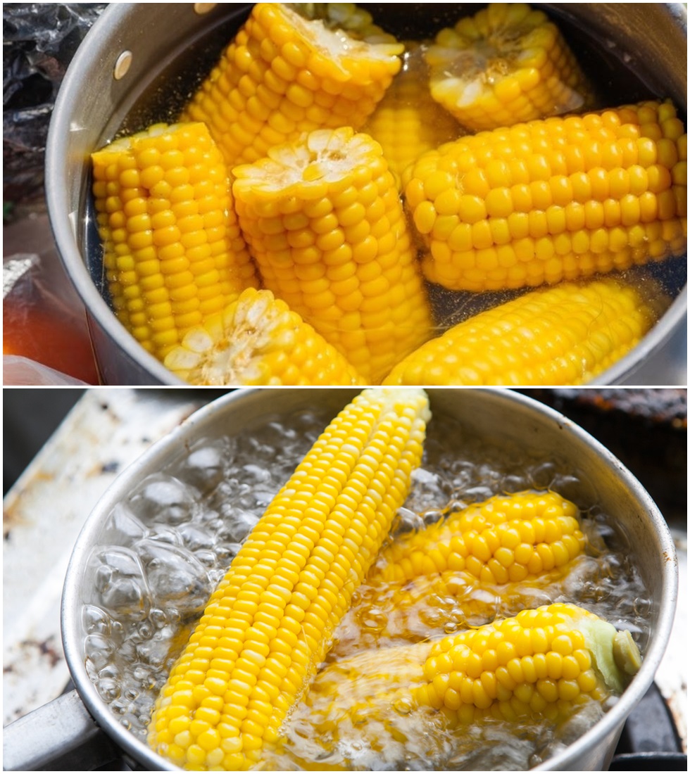 527565868_1337530824600297_7076061368881450815_n