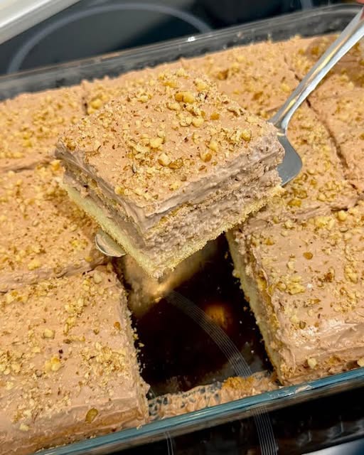 527846379_1337466331273413_3763888345935228213_n