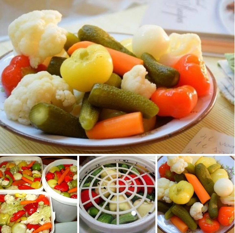 528797617_798685642687481_1021454040946689375_n