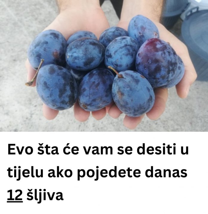 530508748_1295588051929337_6439839031509068746_n