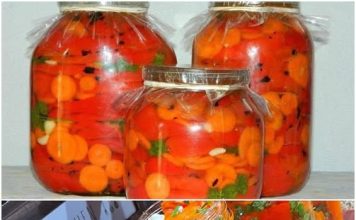 Carska salata – bez kupusa i zelenog paradajza!